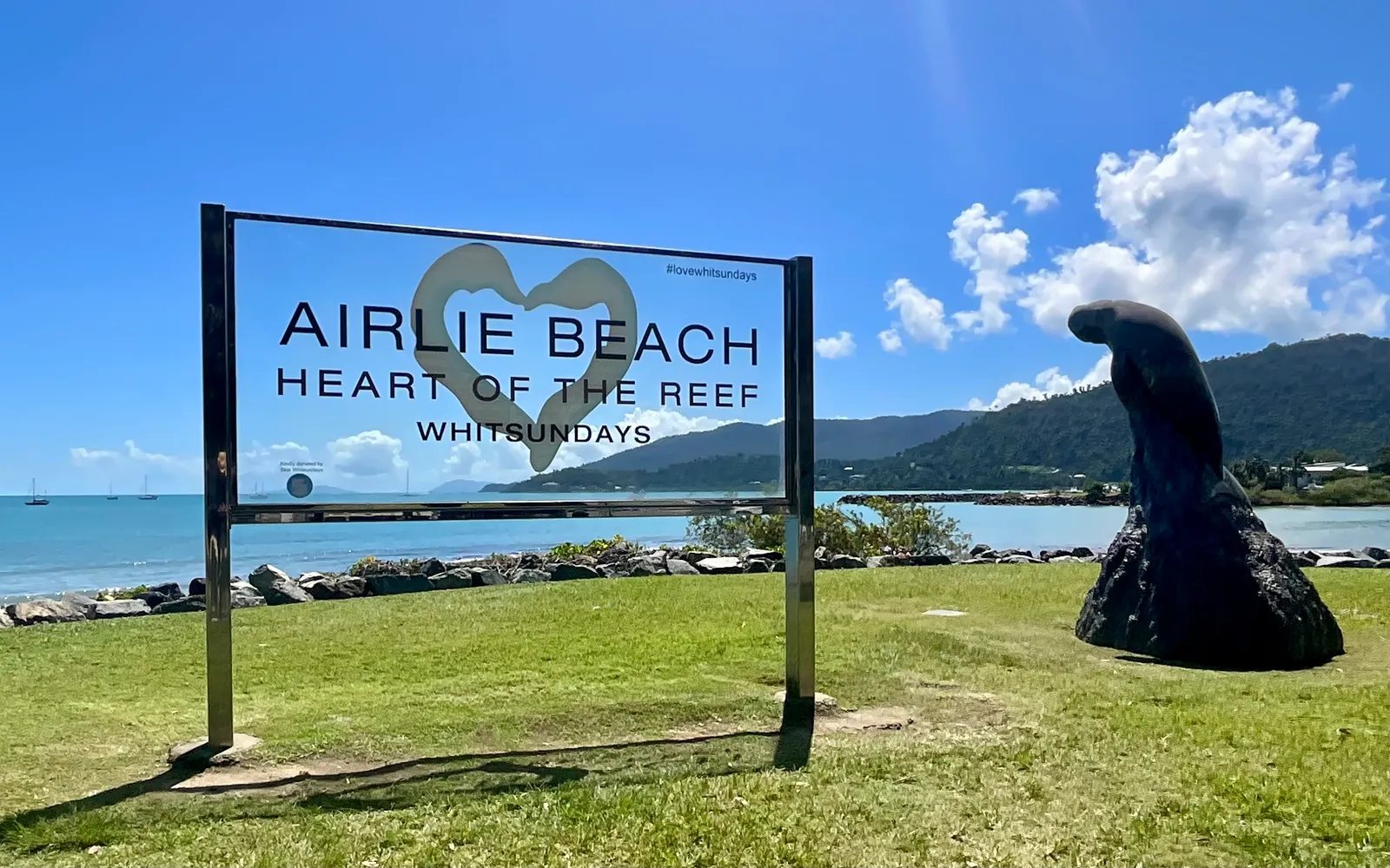 The seawater swimming lagoon in central Airlie Beach, a large blue-green pool ringed by palm trees and a seaside park.