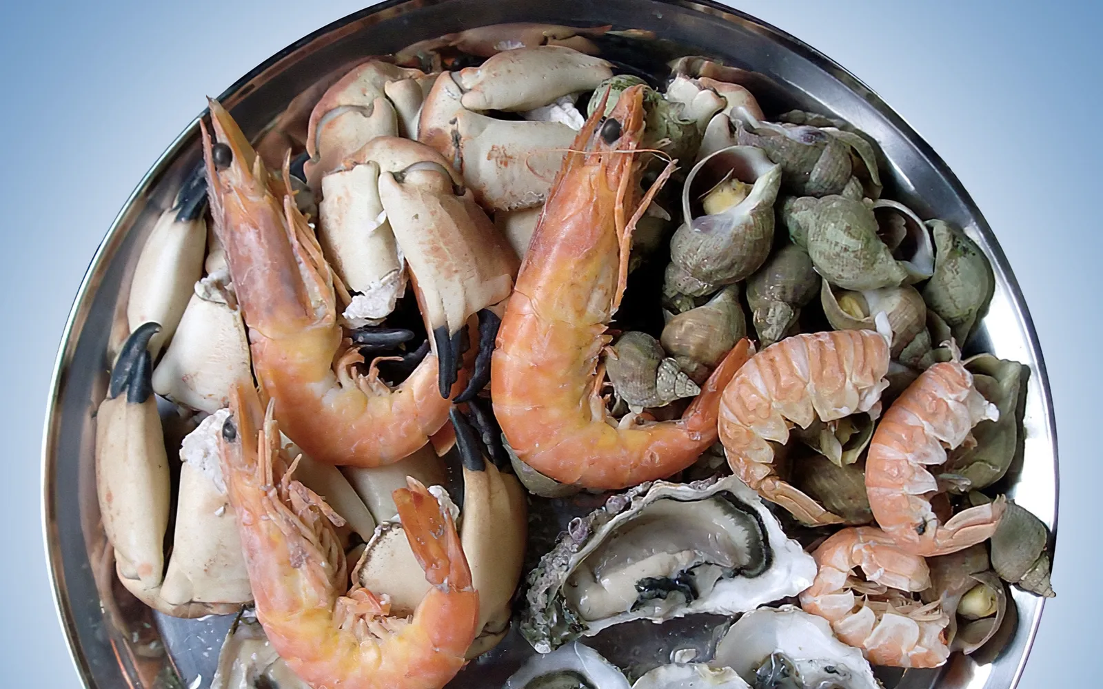 Moreton Bay bugs split in half and grilled on a hot grill, with bright orange flesh and brown antennae on a stone plate