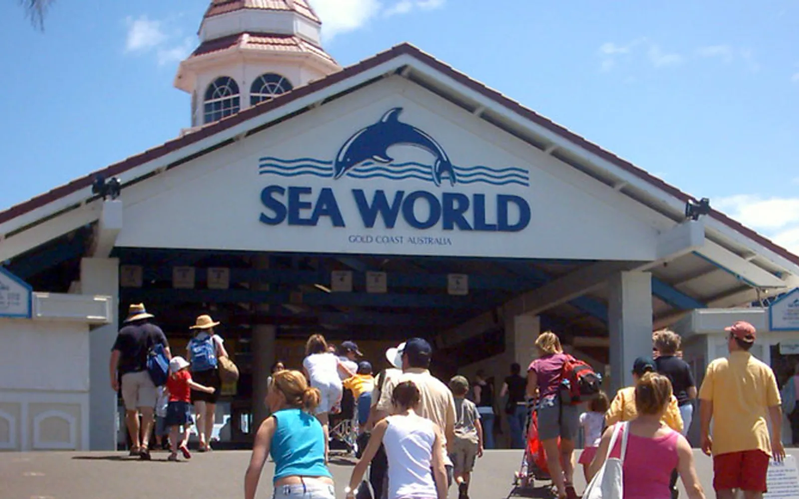 A bottlenose dolphin leaping high in the main show pool at Sea World Gold Coast, amid cheering visitors