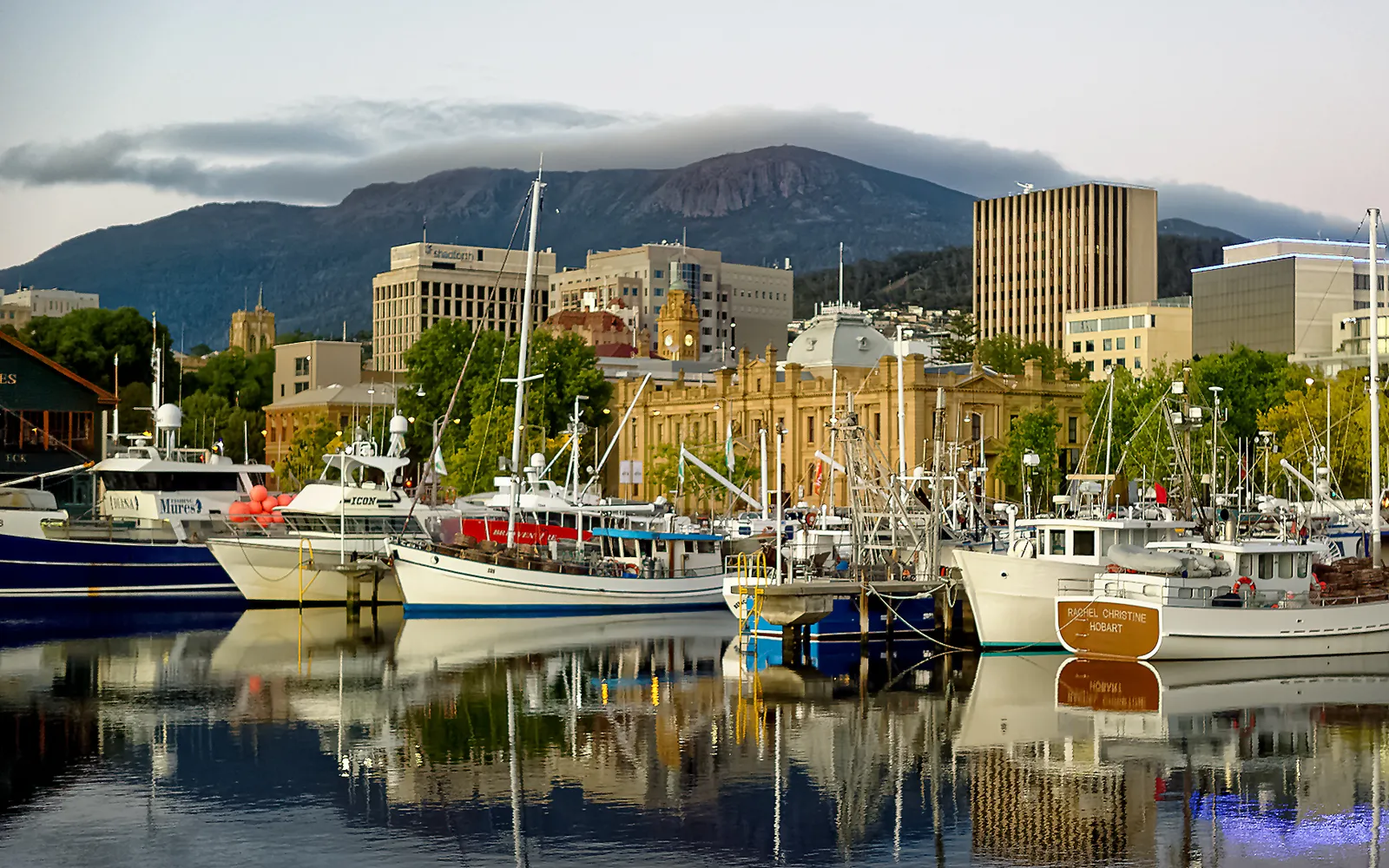 Constitution Dock, Hobart, with fishing boats and yachts moored in rows and fresh seafood and fish stalls along the water.
