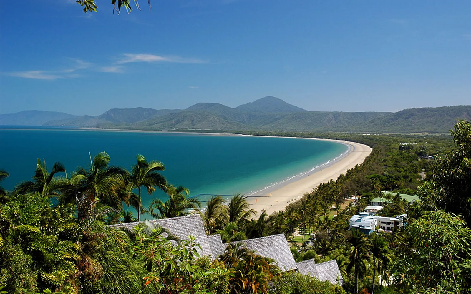 Four Mile Beach in Port Douglas stretching out of sight, fine white sand with no crowds, leaning palm trees, and a deep blue sea on the horizon.