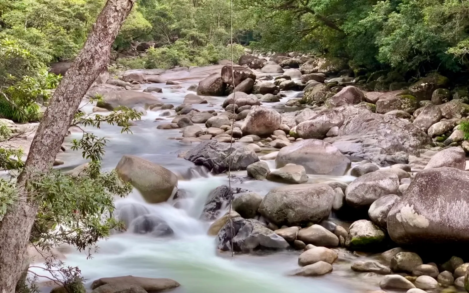 The clear green stream of Mossman Gorge flowing past huge granite boulders, tall rainforest trees on both banks, still water mirroring the trees.
