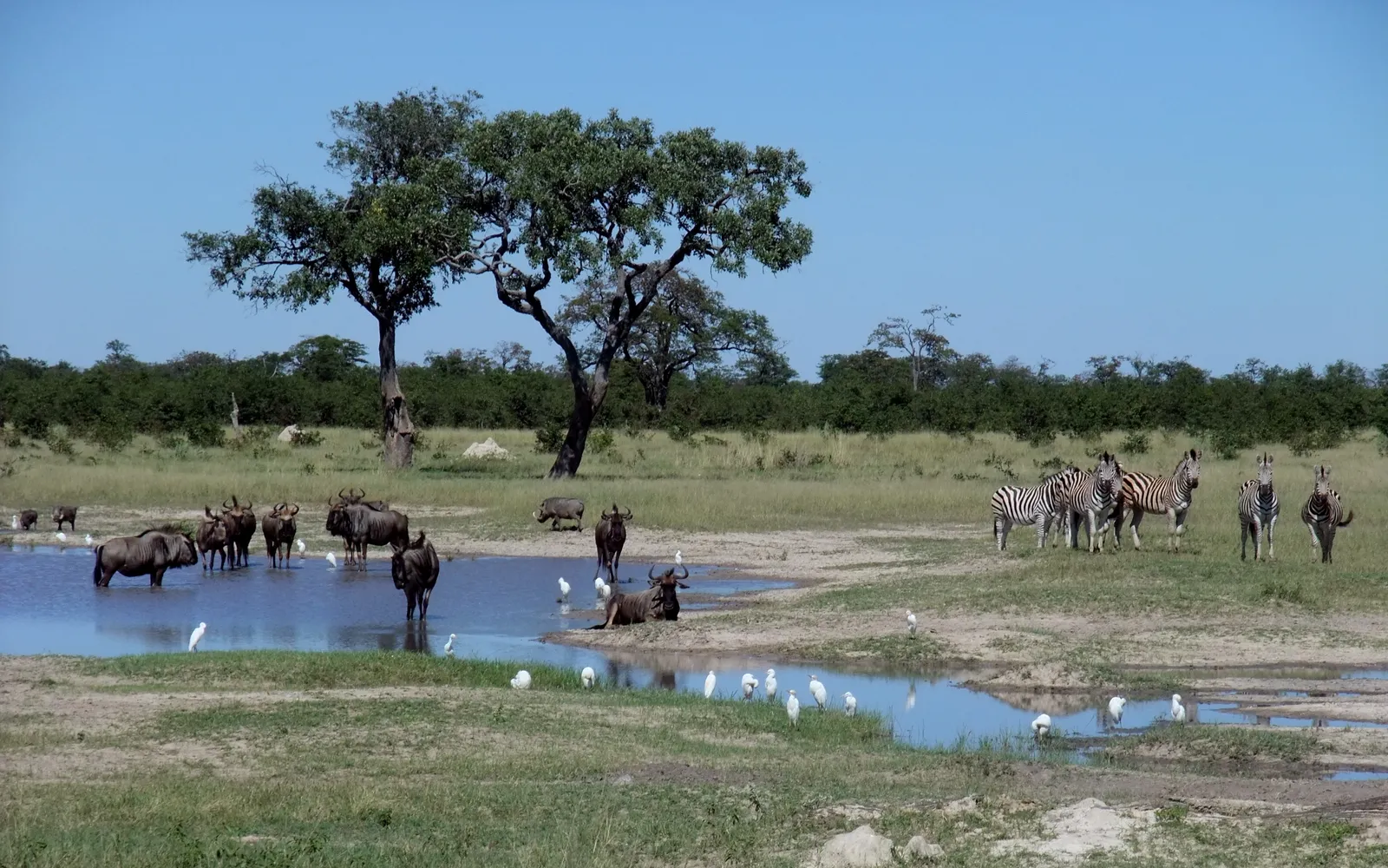 ที่เที่ยวคาซาเน 2026 — ประตูสู่ Chobe จุดห้ามพลาด