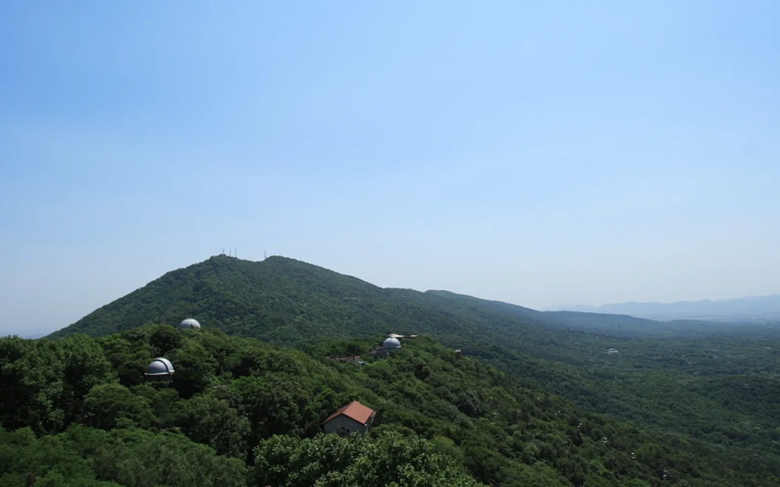 Purple Mountain covered in pine forest, with Nanjing visible from the summit