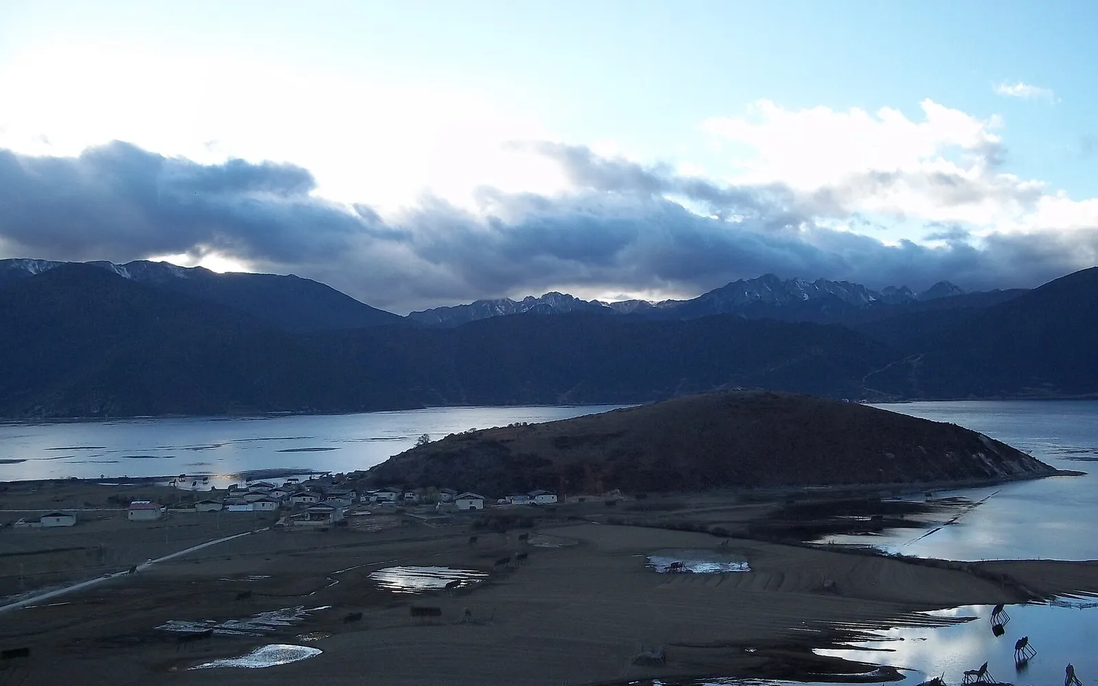 Napa Lake surrounded by green grasslands, yaks grazing at the water's edge, snow mountains in the background