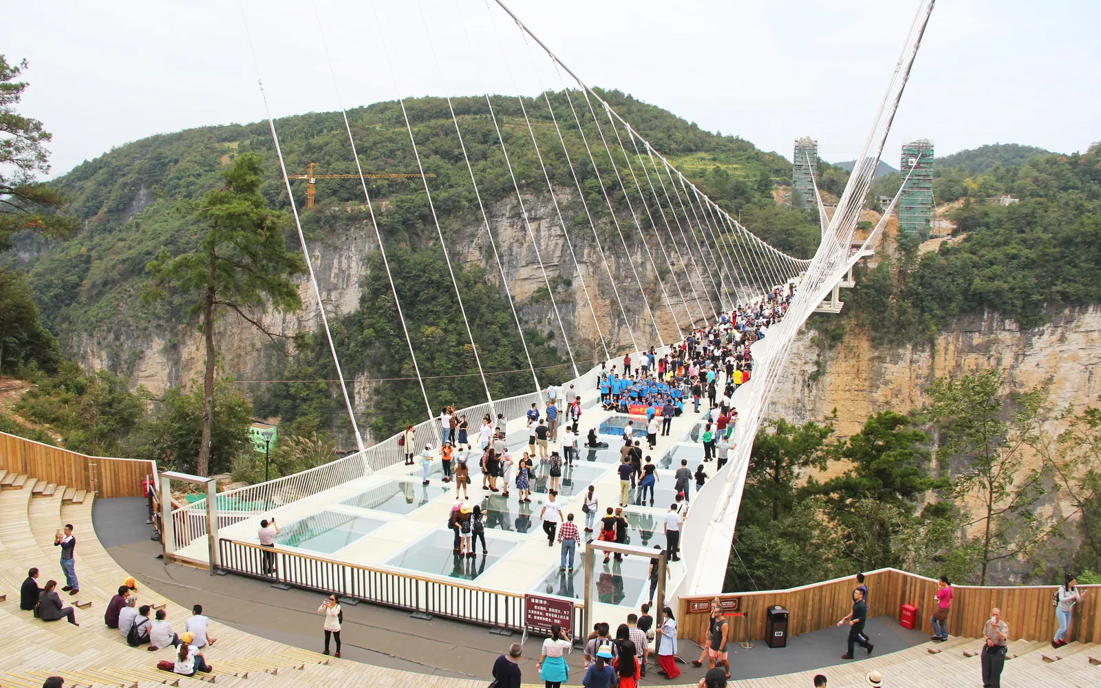 A transparent glass bridge spanning two high cliff peaks above a deep canyon gorge in Zhangjiajie