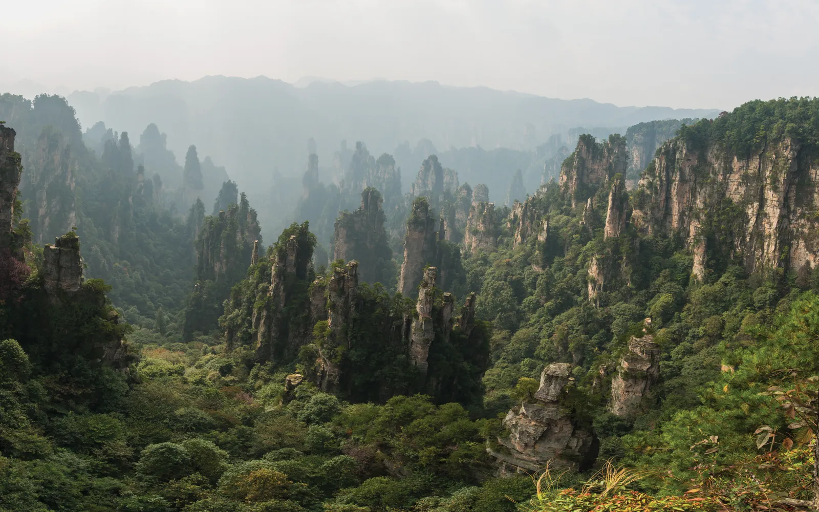 Forest trail running alongside a clear mountain stream beneath towering sandstone pillars in Zhangjiajie park