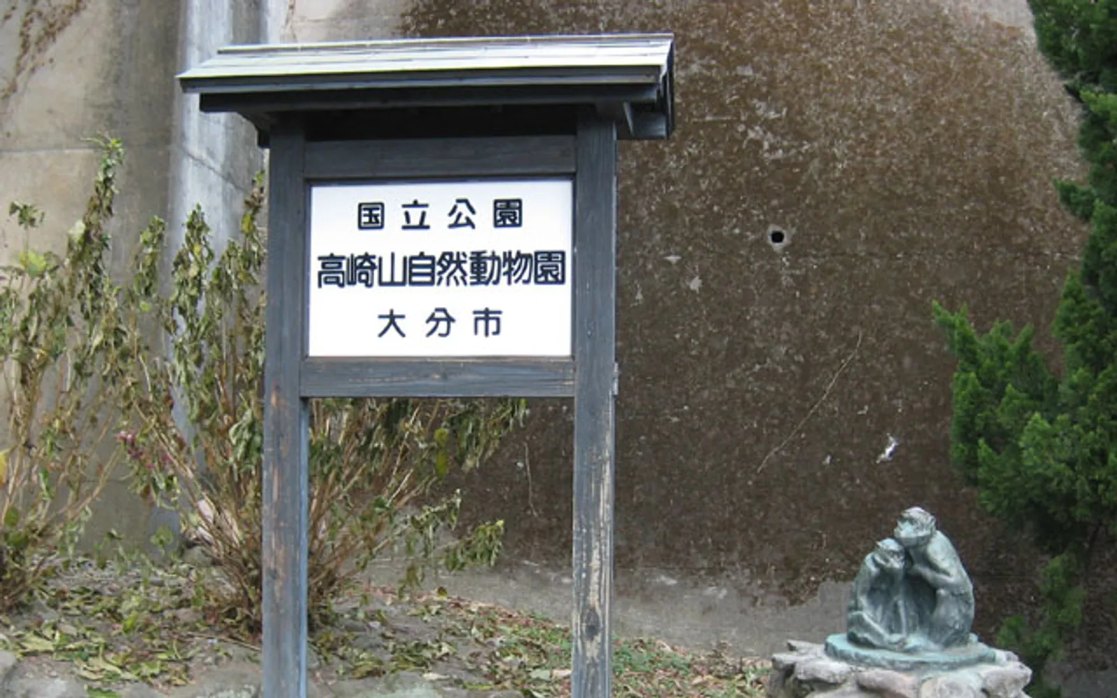 A troop of Japanese macaques at Takasakiyama sitting on the ground