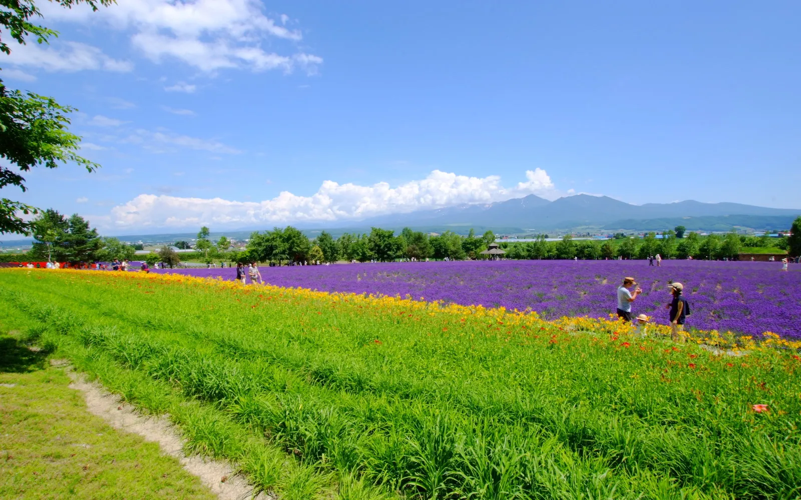 Furano Things To Do