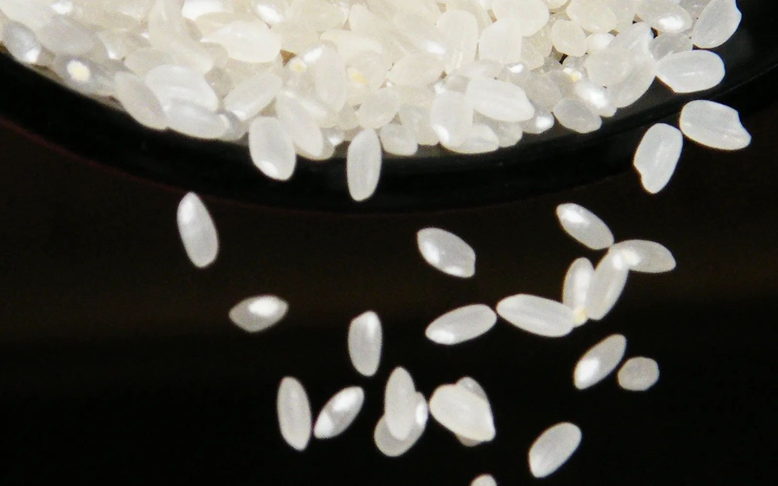 A bowl of perfectly cooked white Uonuma Koshihikari rice, plump and freshly steamed
