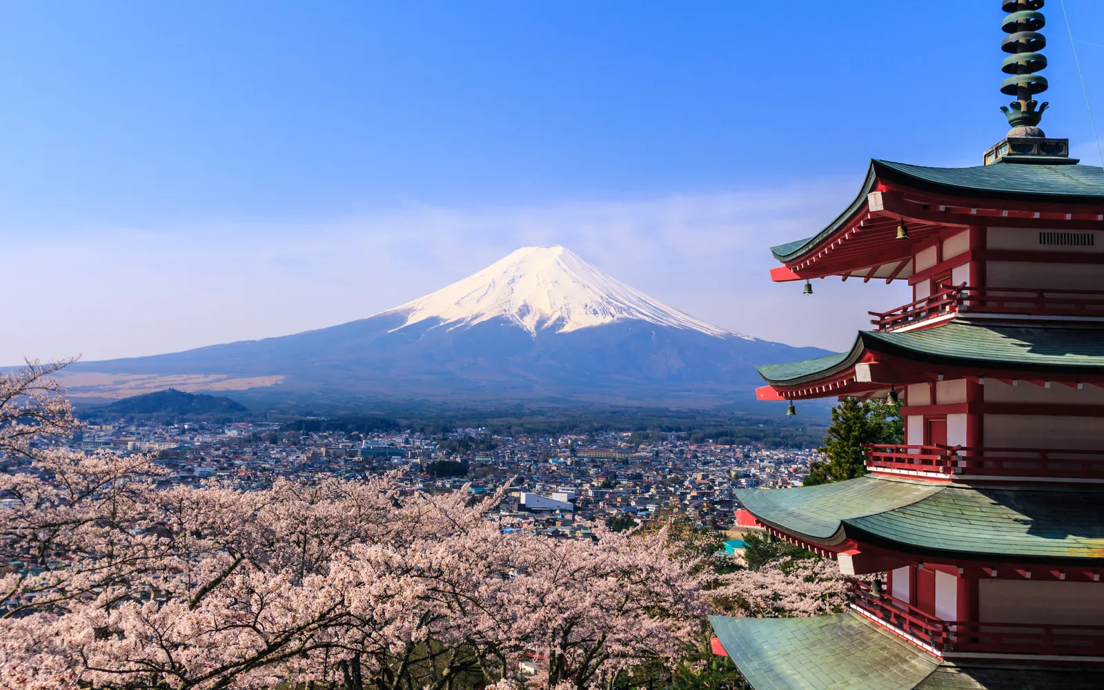 Five-story red Chureito Pagoda with cherry blossoms in bloom and Mount Fuji in the background