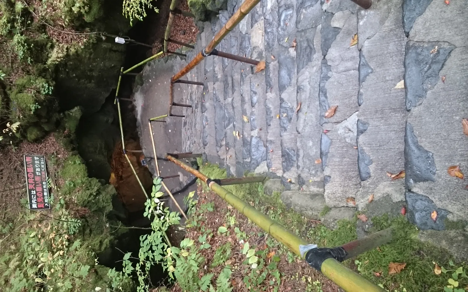 Walkway through lava rock inside Fugaku Wind Cave in the Aokigahara forest