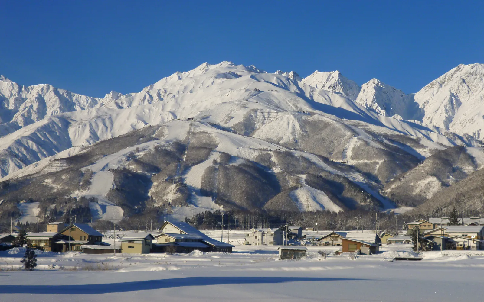 Hakuba ski slopes with the Northern Japanese Alps in the background in winter