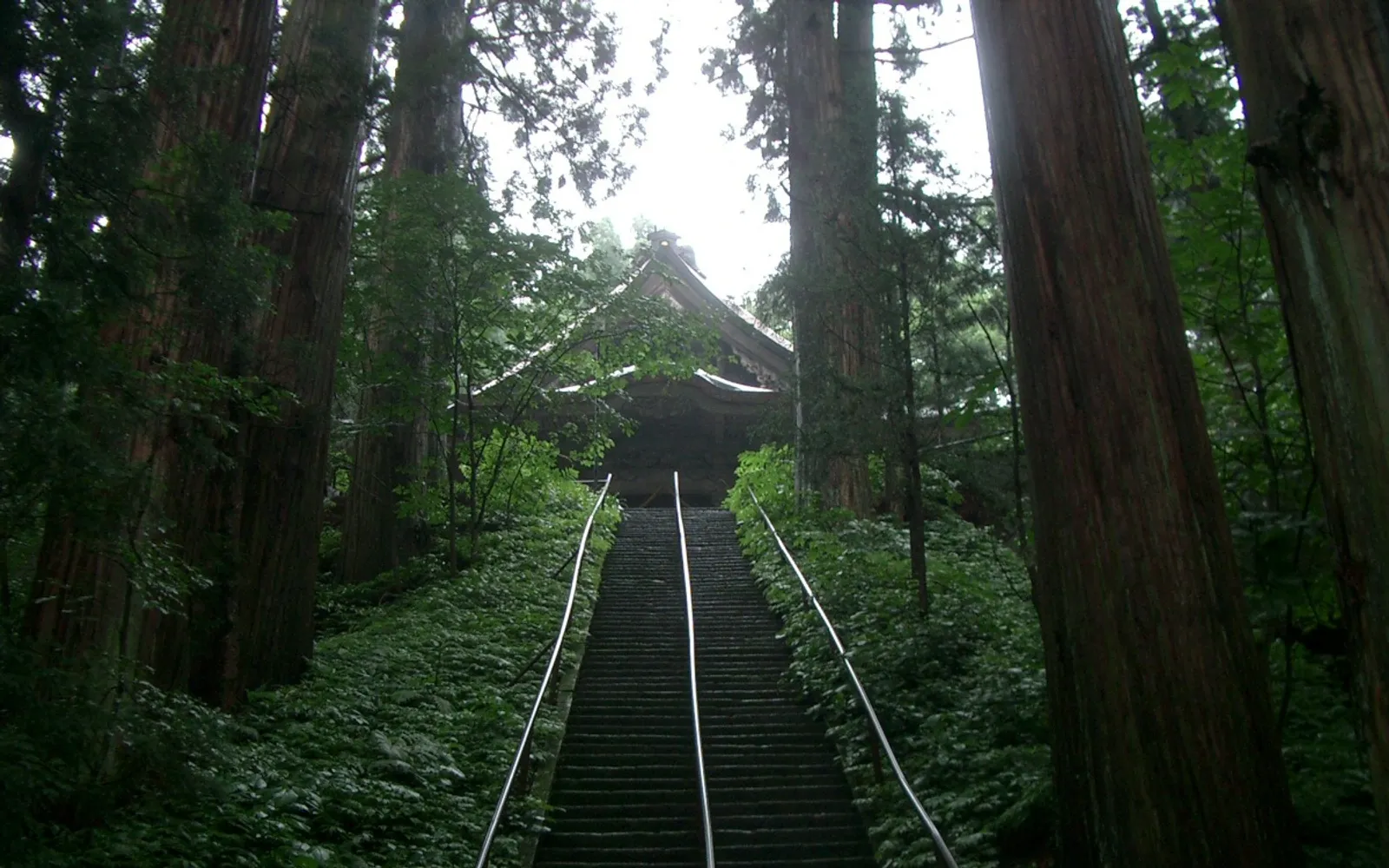 A 400-year-old cedar avenue leading to Togakushi Shrine