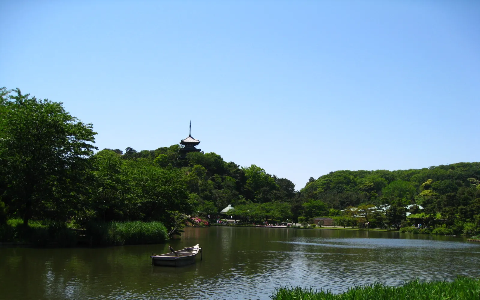 A pavilion beside a pond in the classic Japanese garden of Sankeien, surrounded by trees in autumn colour