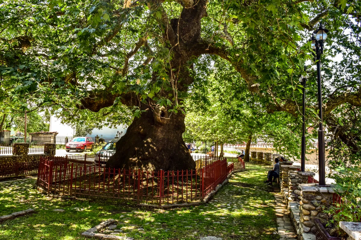 บรรยากาศย่านริมแม่น้ำ มาราช (Marash) ในพริซเรน