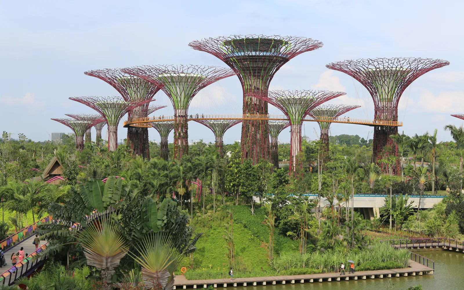 Supertree Grove at Gardens by the Bay