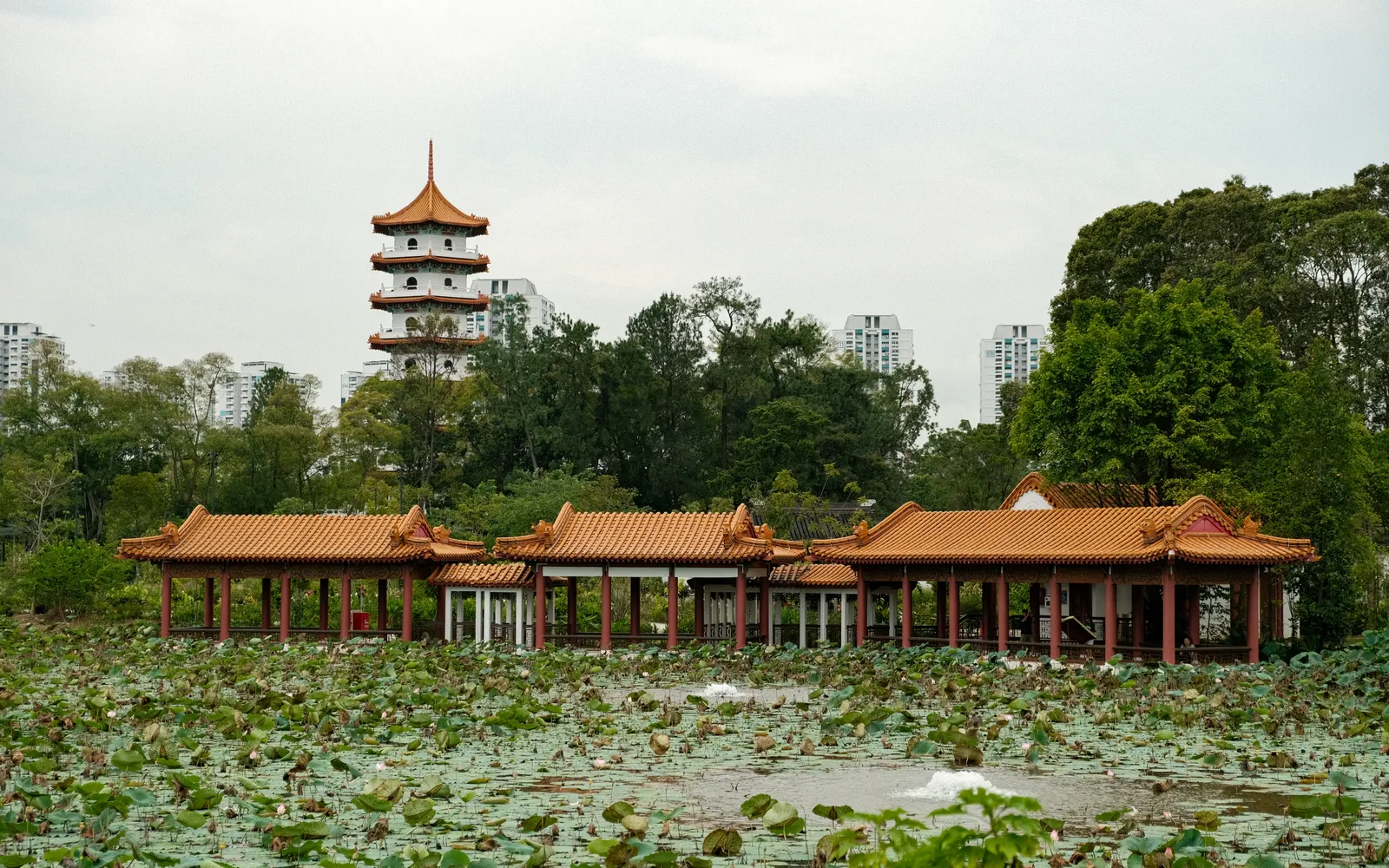 ที่เที่ยวจูร่ง — สวน ธรรมชาติ และสวนสนุกครบในย่านตะวันตก