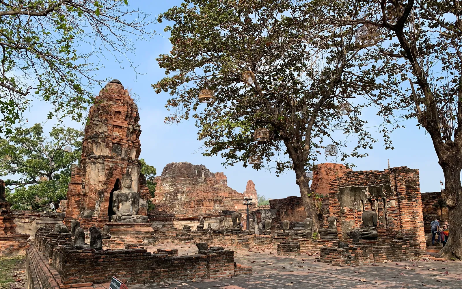 Sandstone Buddha head encircled by bodhi tree roots at Wat Mahathat, Ayutthaya