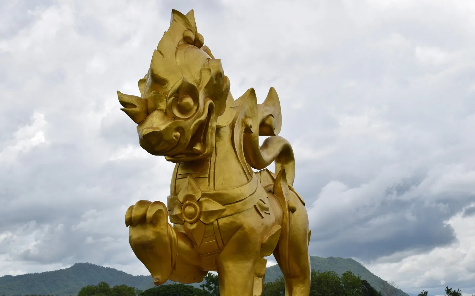 Colourful flower fields at Singha Park Chiang Rai — sunflower and marigold plots in gold against a vivid blue sky