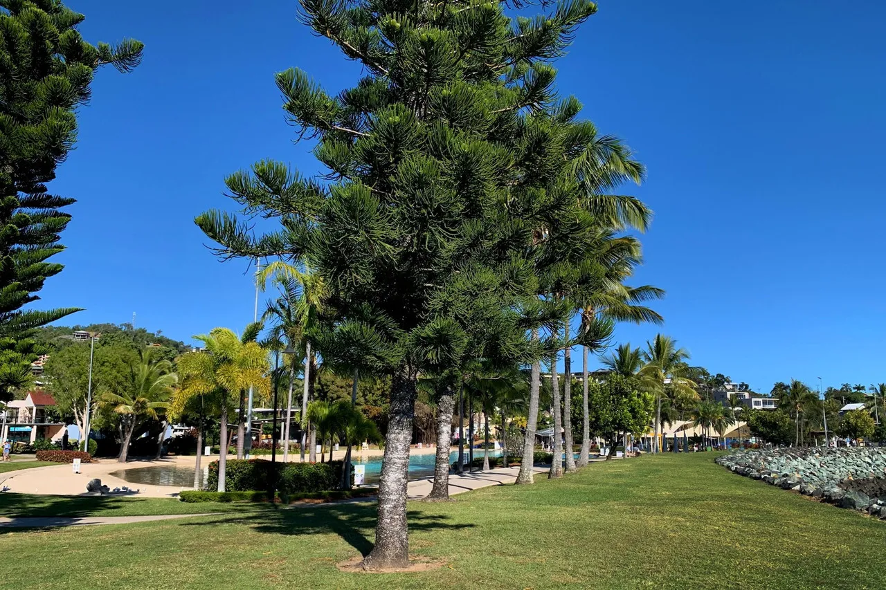 Magnums Airlie Beach (เดิม Airlie Beach Magnums) — rooms and atmosphere
