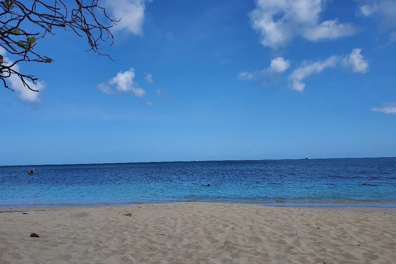 Allamanda Beach Resort — rooms and atmosphere