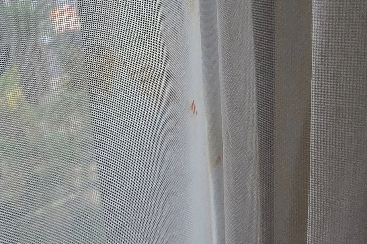 Allia Gran Hotel Brasília Suites — rooms and atmosphere