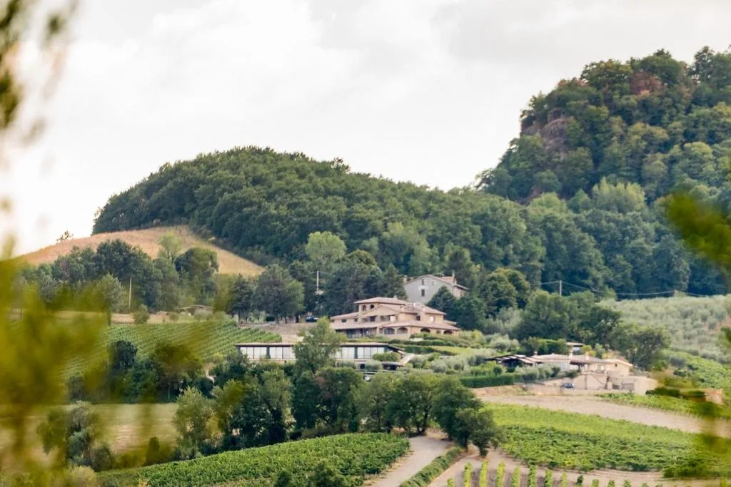 Altarocca Wine Resort Adults Only — ภาพห้องพักและบรรยากาศ