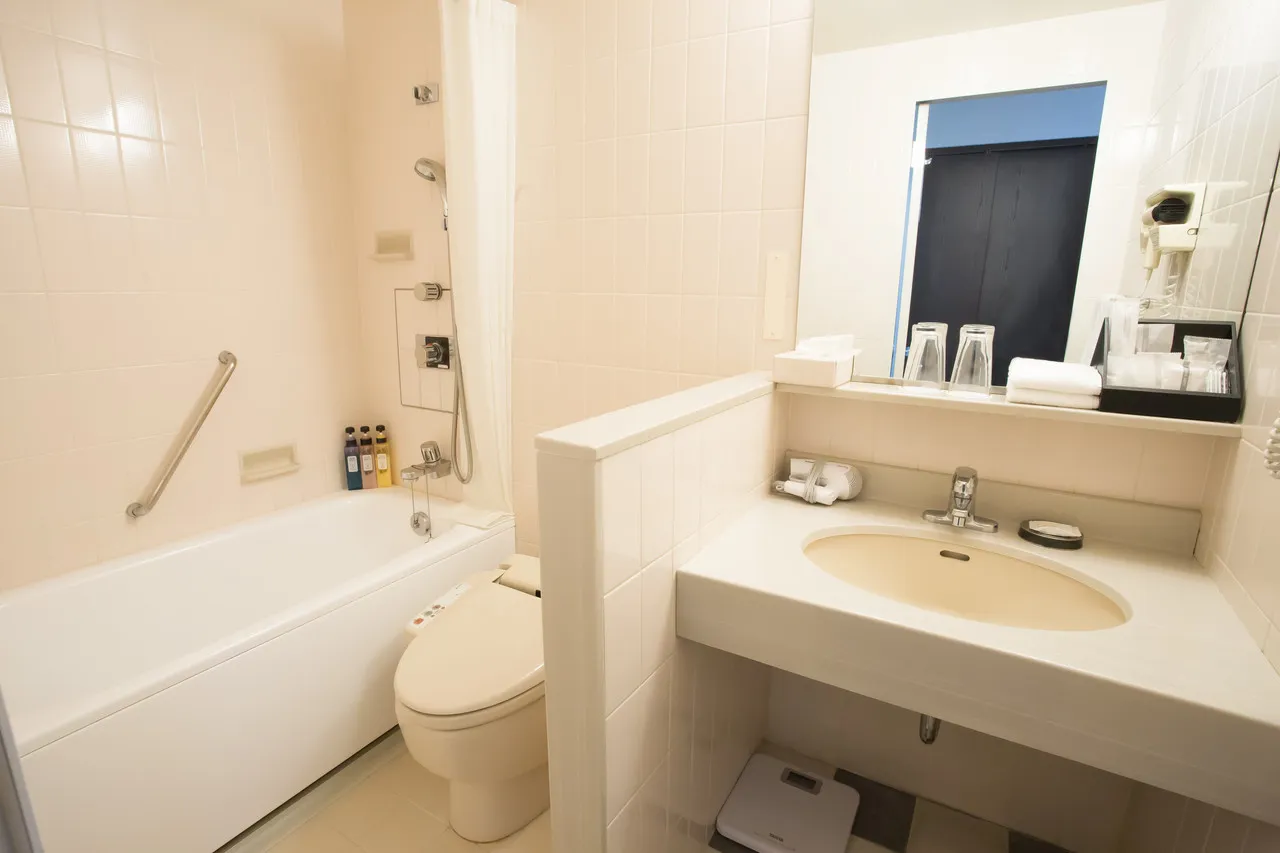 ANA Crowne Plaza Narita — rooms and atmosphere