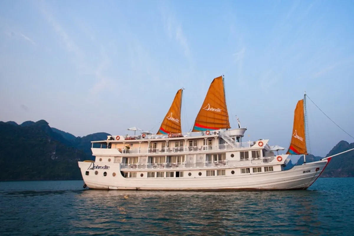 Aphrodite Cruise — rooms and atmosphere