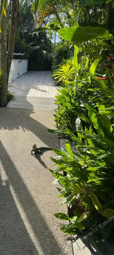 Atlantic Byron Bay — rooms and atmosphere