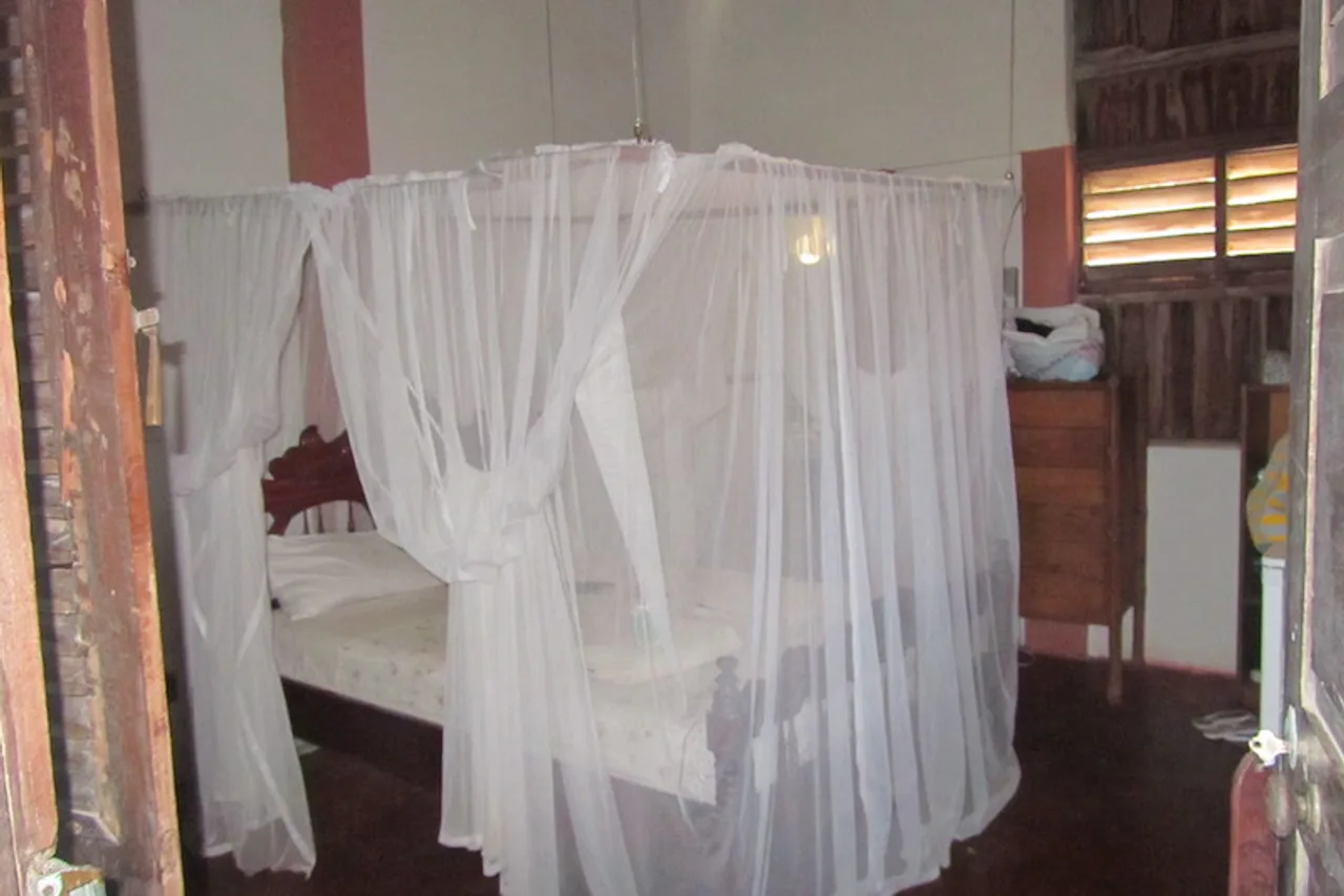 Bamboozi Beach Lodge — ภาพห้องพักและบรรยากาศ