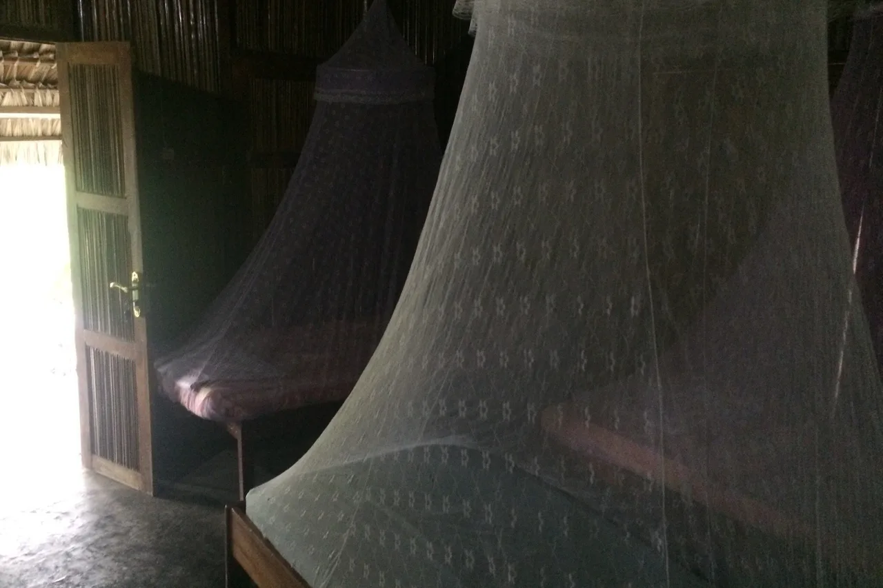 Baucau Beach Bungalows — ภาพห้องพักและบรรยากาศ