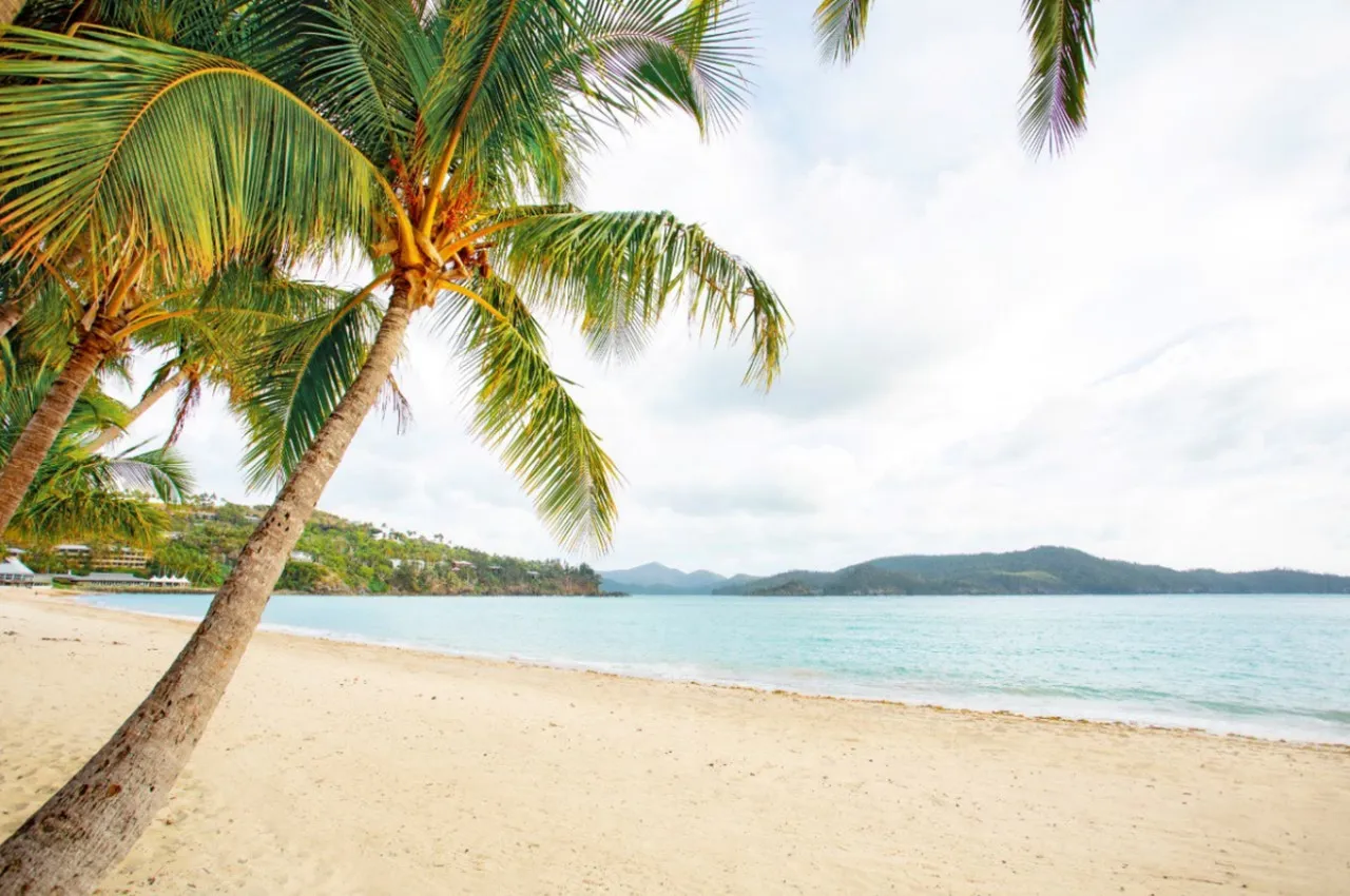 Beach Club — rooms and atmosphere