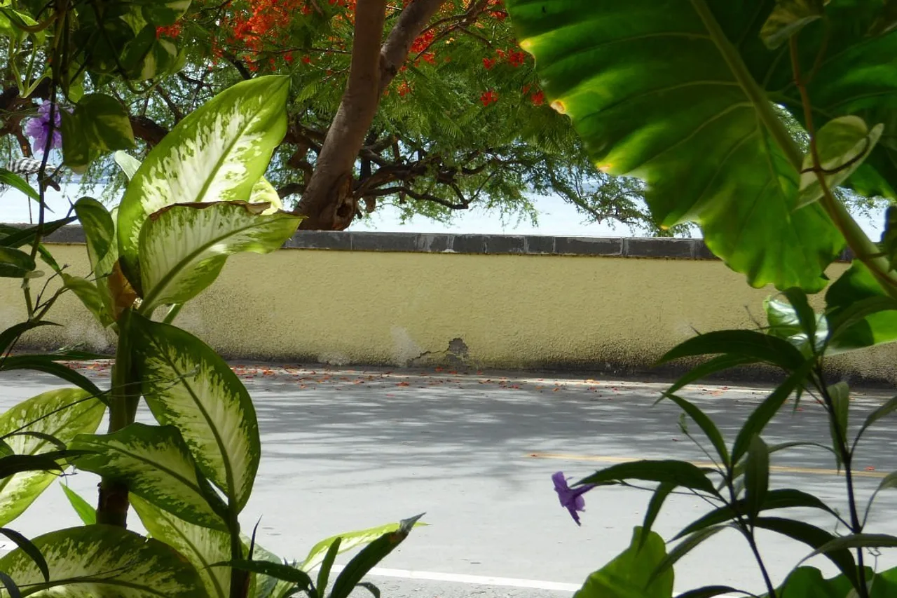 Beachside Hotel Dili — rooms and atmosphere