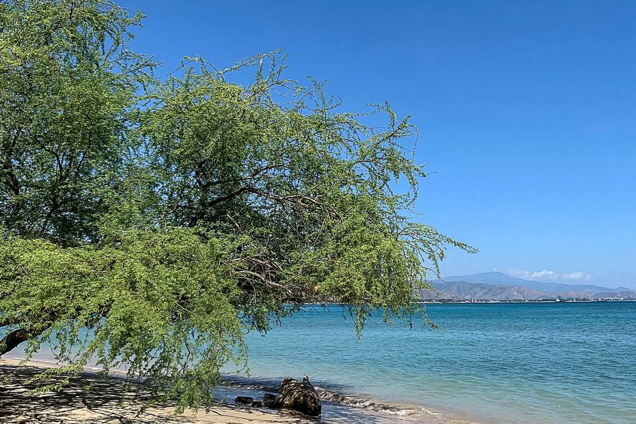 Beachside Hotel Dili — rooms and atmosphere
