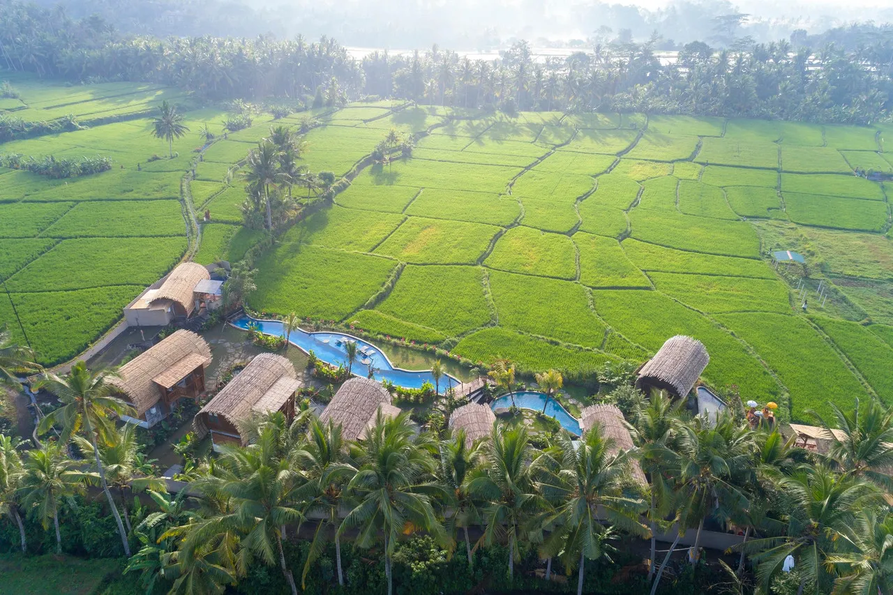 Beehouse Dijiwa Ubud — hotel