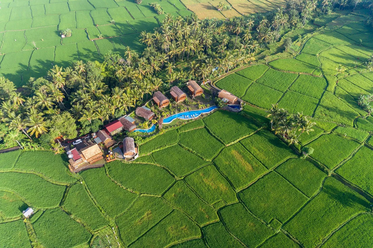 Beehouse Dijiwa Ubud — rooms and atmosphere