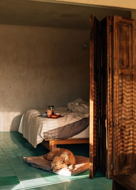 Boulenc Bed and Bread — ภาพห้องพักและบรรยากาศ
