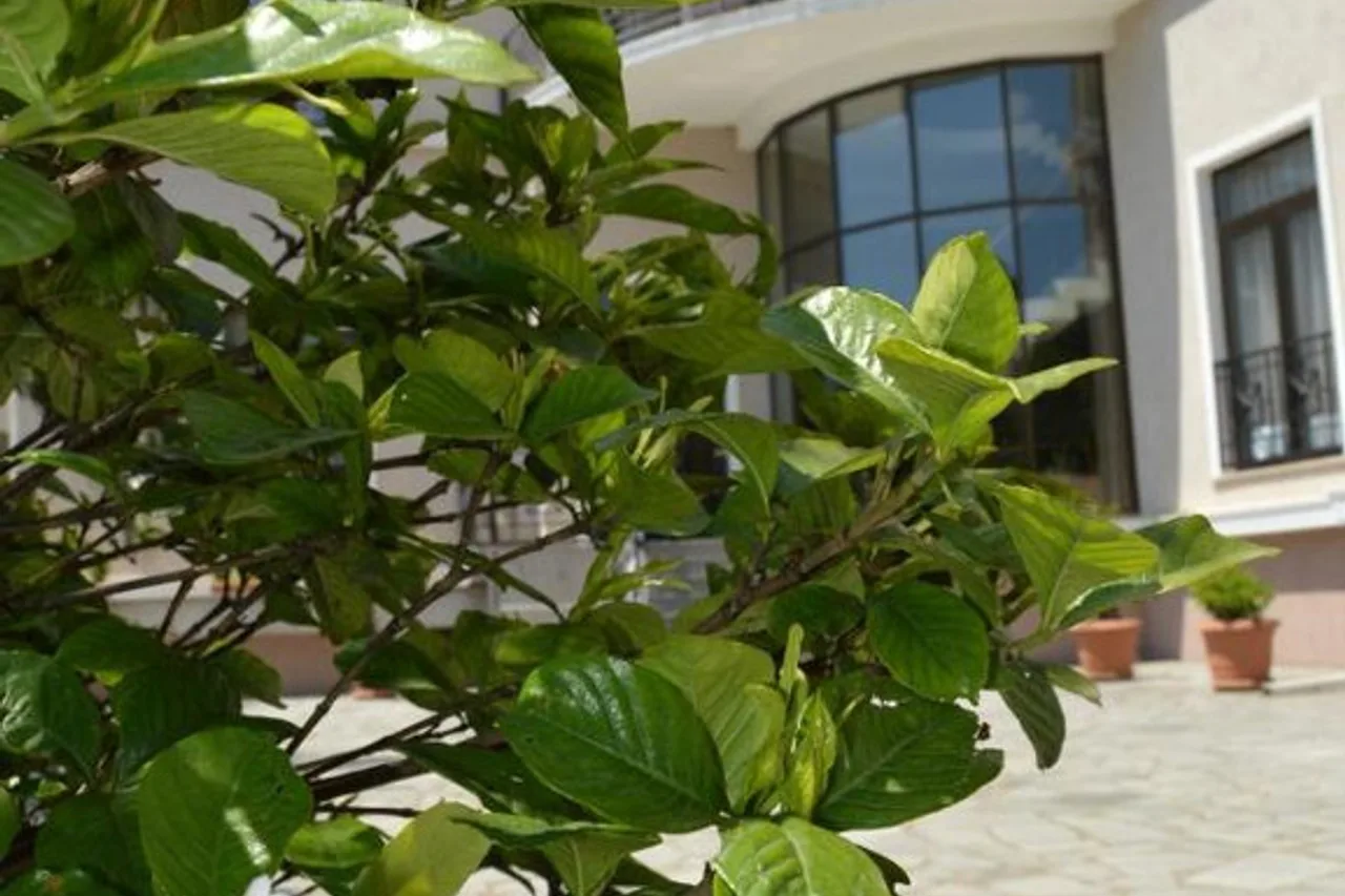 Boutique Hotel Argo — ภาพห้องพักและบรรยากาศ