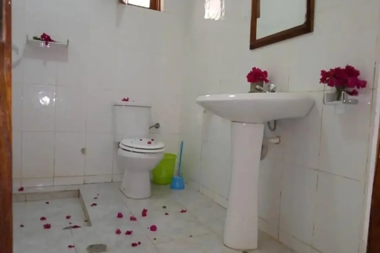 Bubaque Island Hotel — ภาพห้องพักและบรรยากาศ