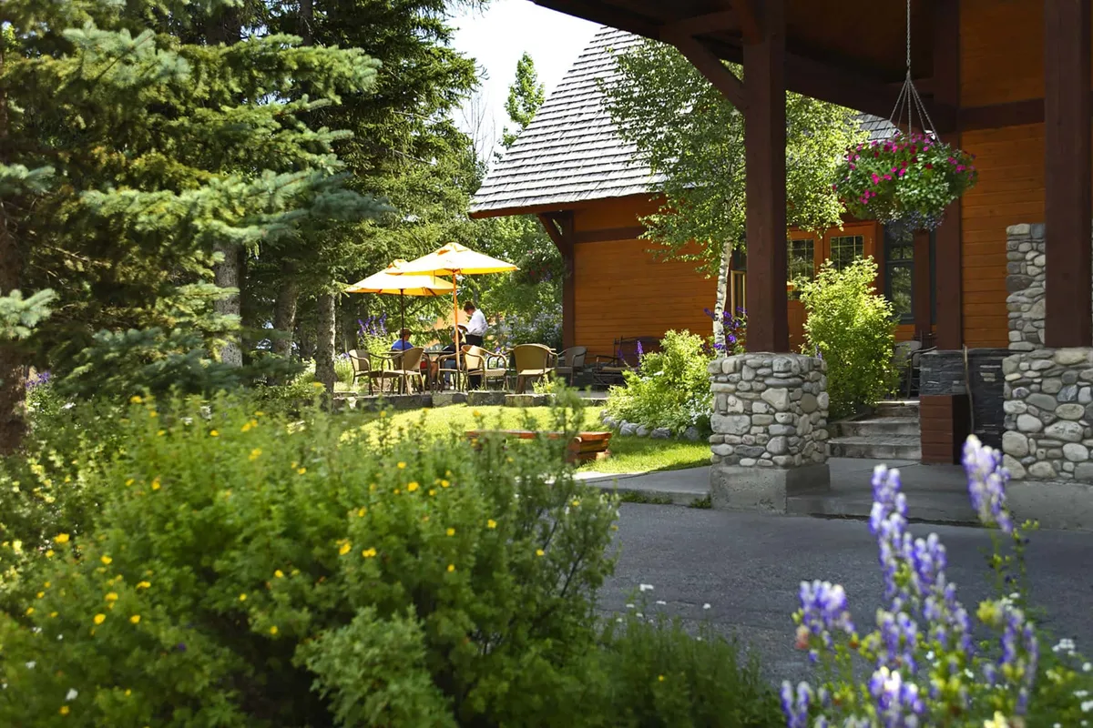 Buffalo Mountain Lodge — แบนฟ์