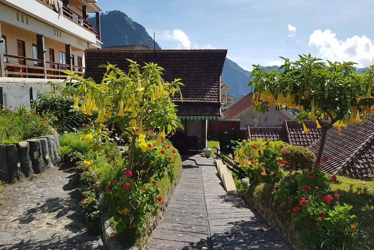 Cafe Lava Hostel — rooms and atmosphere
