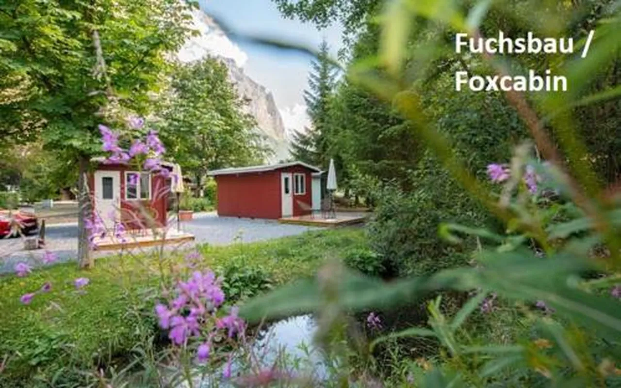 Camping Jungfrau Holiday Park — ภาพห้องพักและบรรยากาศ
