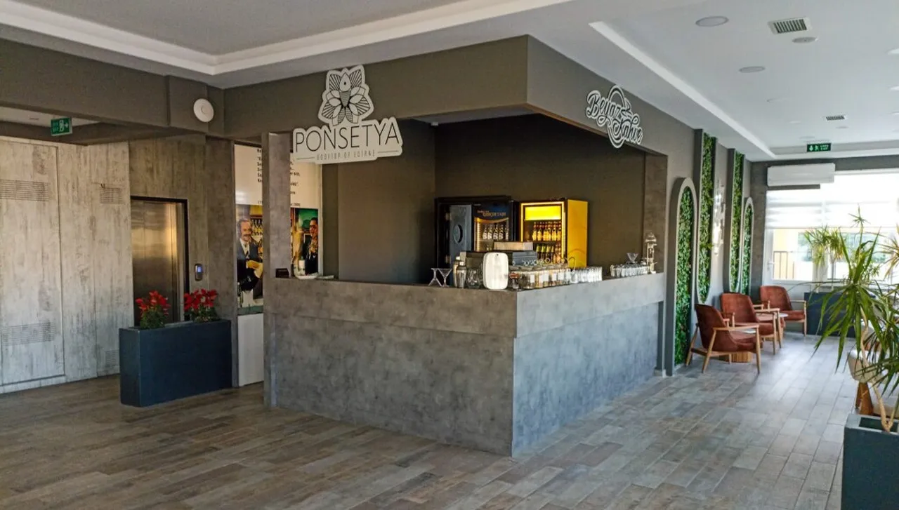 Cavit Duvan Prestige Hotel — ภาพห้องพักและบรรยากาศ