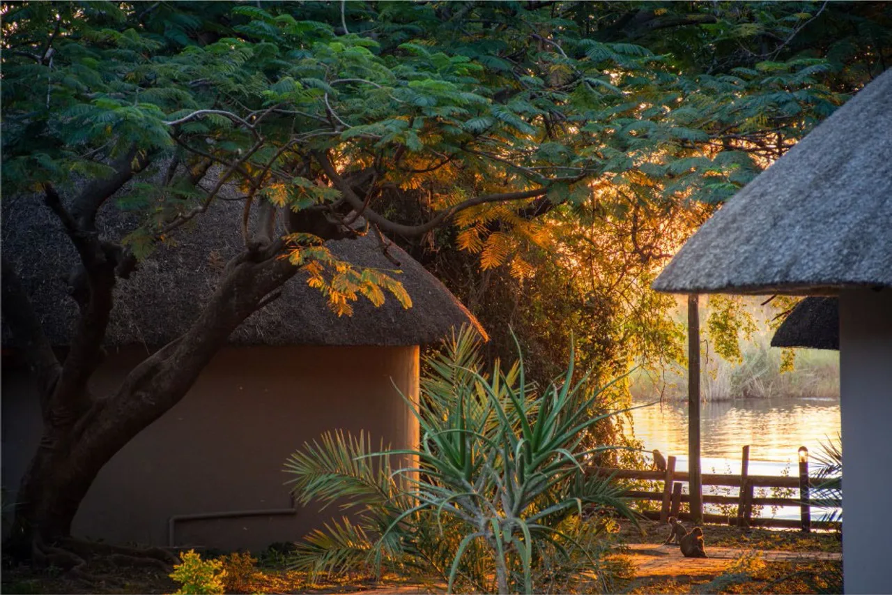 Chobe Safari Lodge — ภาพห้องพักและบรรยากาศ