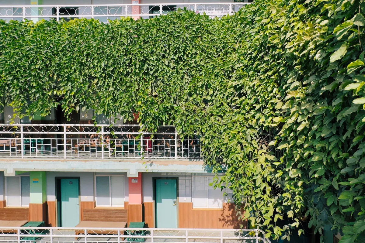 Cloudland International Youth Hostel Kunming — rooms and atmosphere