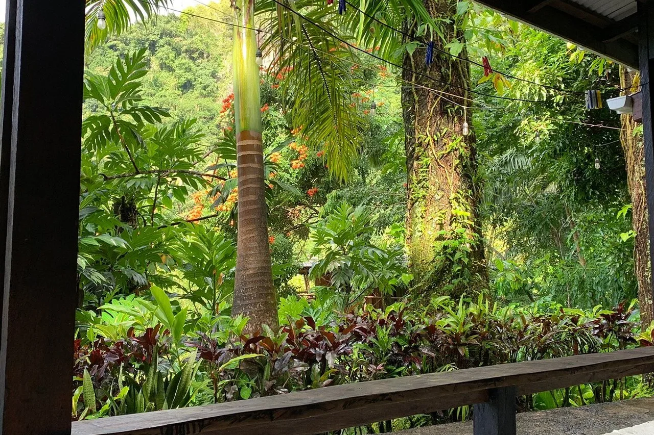 Cocoa Cottage — rooms and atmosphere