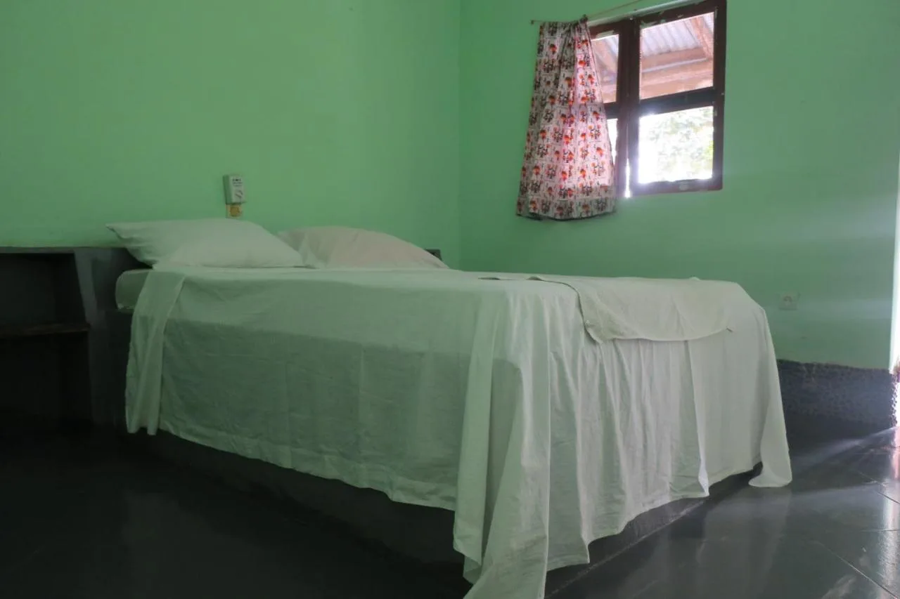Dalilann — ภาพห้องพักและบรรยากาศ
