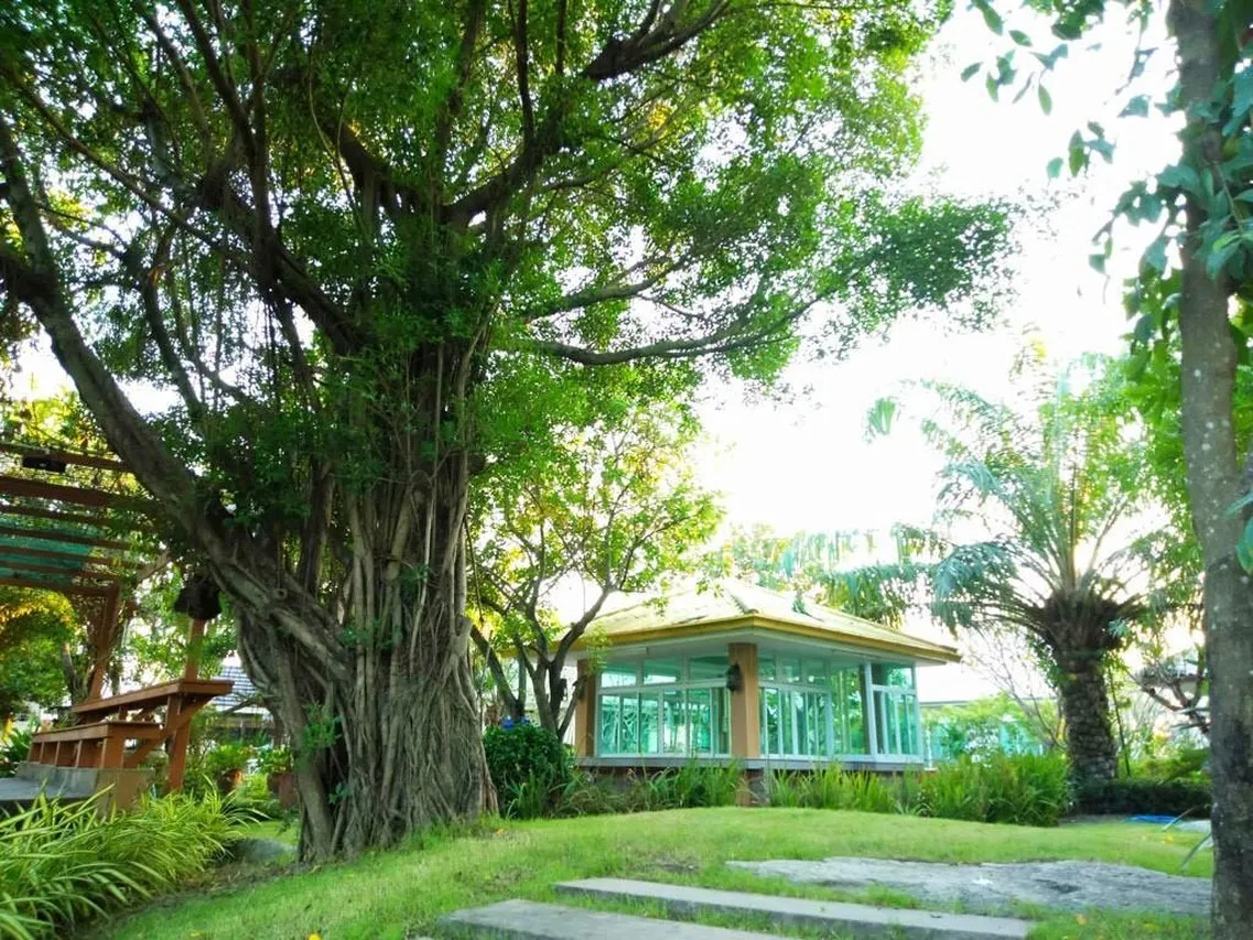 December to Remember House — rooms and atmosphere